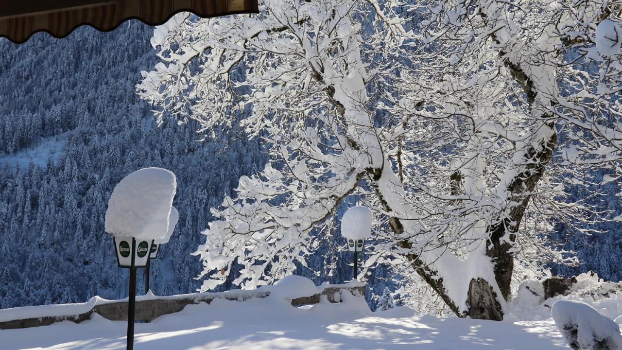 Gasthof Lamprechtbauer Kotschach-Mauthen Exteriör bild