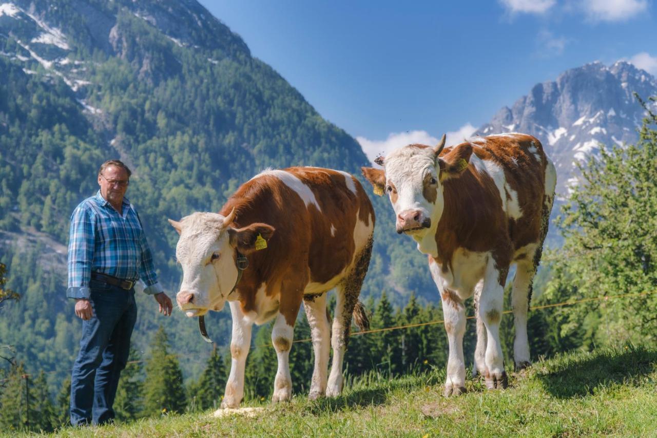 Gasthof Lamprechtbauer Kotschach-Mauthen Exteriör bild